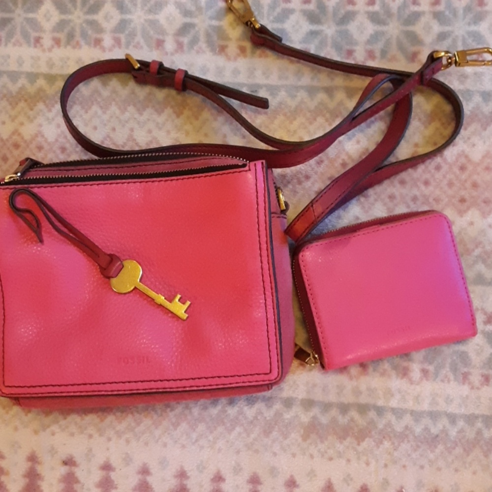 Fossil crossbody and wallet